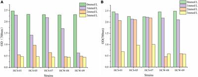 Antioxidative properties analysis of gastrointestinal lactic acid bacteria in Hainan black goat and its effect on the aerobic stability of total mixed ration